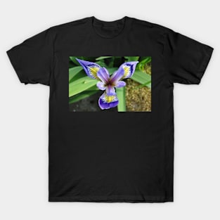 The Wild Iris T-Shirt